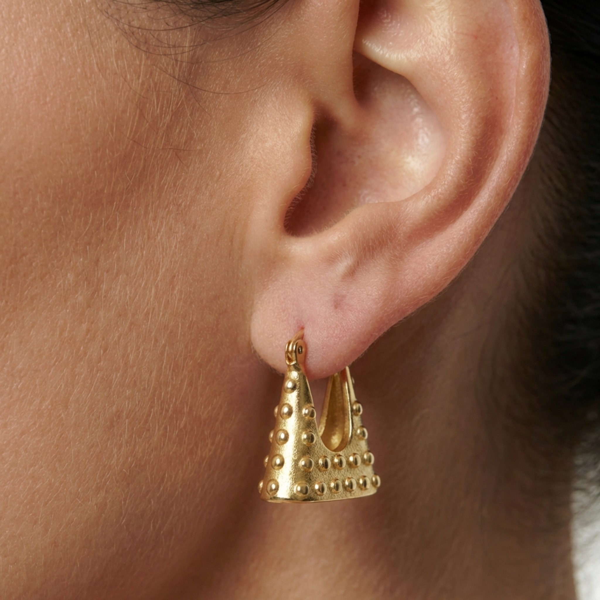 Purse Hoop Earrings